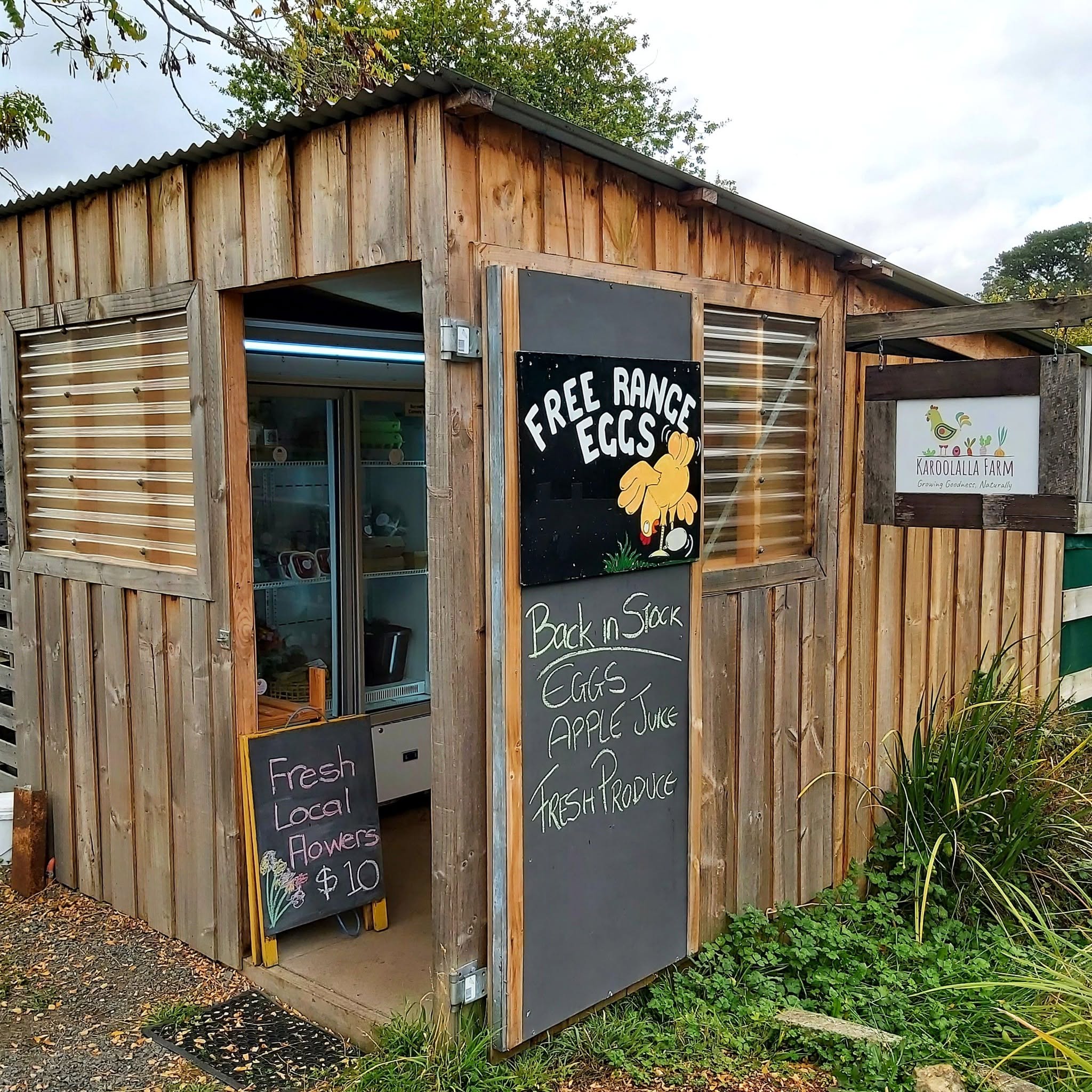 A wooden shed with a fridge full of vegetables and a Fee Range Eggs sign