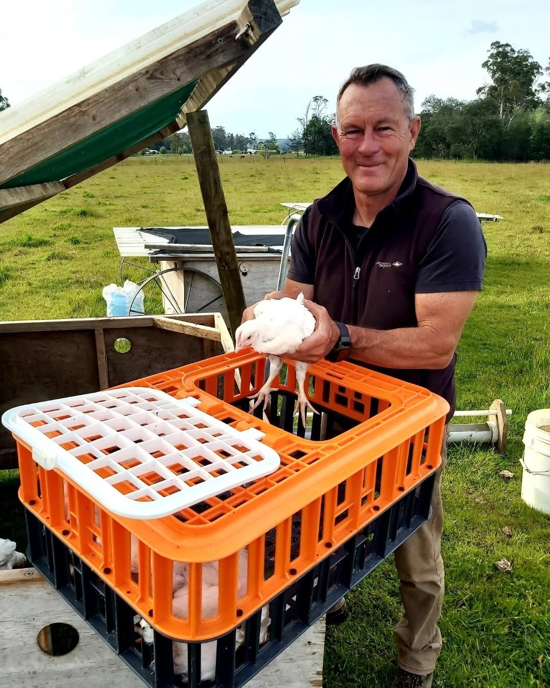 Rupert holds a hen above a crate