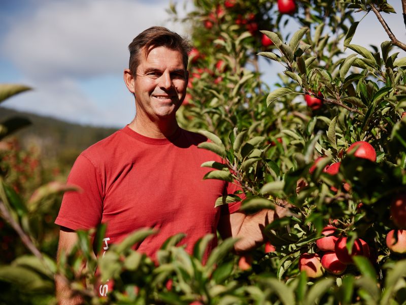 R&R Smith Director Andrew Smith in a Red t-shirt next to an apple tree